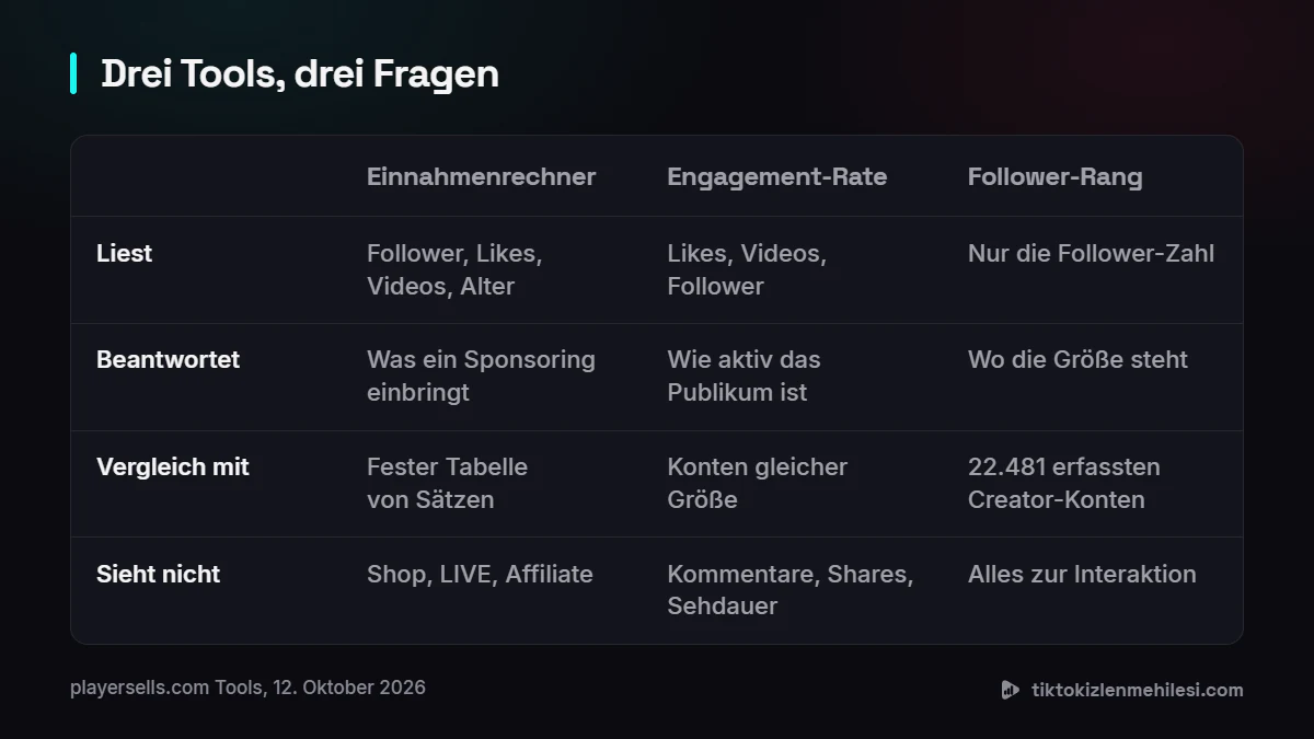 Tabelle, die Einnahmenrechner, Engagement-Rate-Rechner und Follower-Rang danach vergleicht, was sie lesen, was sie beantworten, womit sie vergleichen und was sie nicht sehen